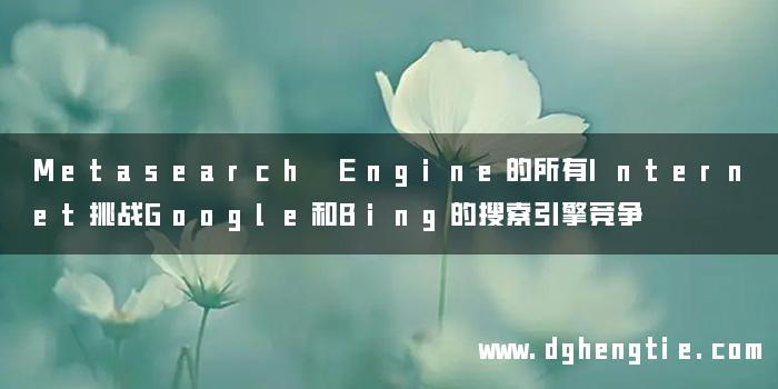Metasearch Engine的所有Internet挑战Google和Bing的搜索引擎竞争